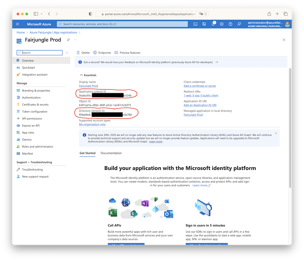 application and tenant id